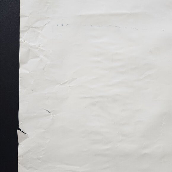 Rare Vintage Braniff Travel Poster for Federal Republic of Germany - Picture 8 of 10